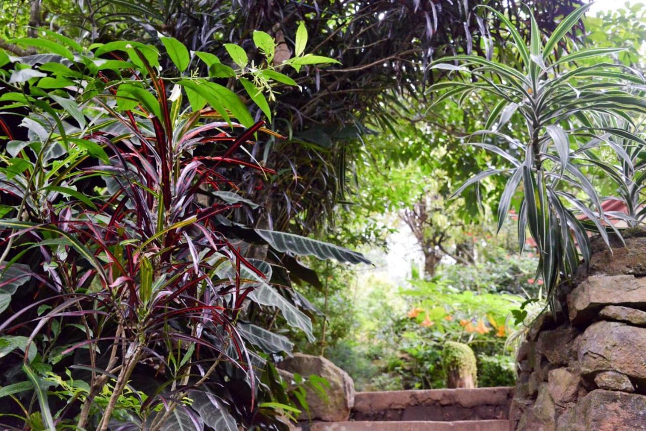 Eco Village Ella Exterior photo