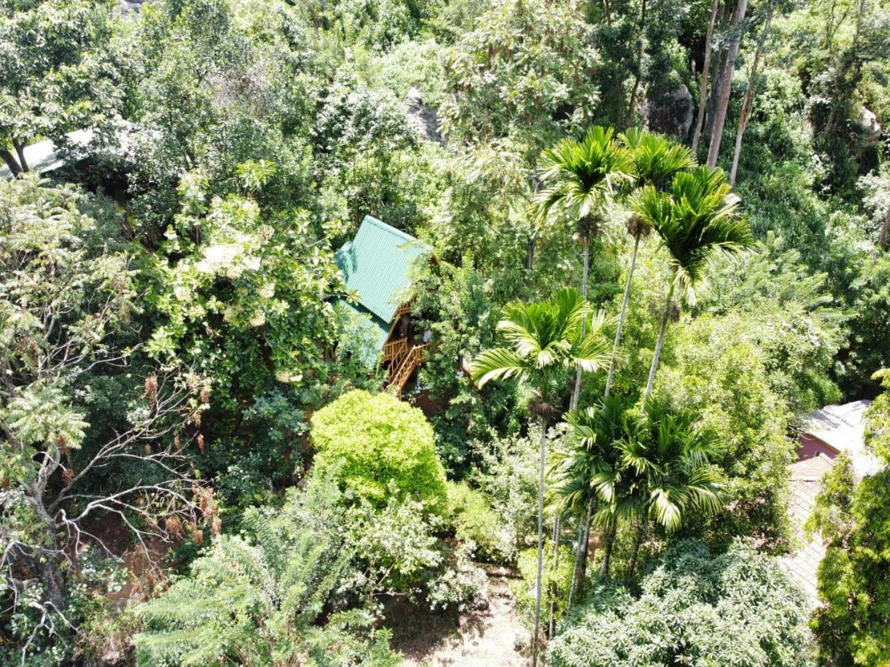 Eco Village Ella Exterior photo